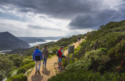 095_CapePoint_TCunniffe_Aug2019