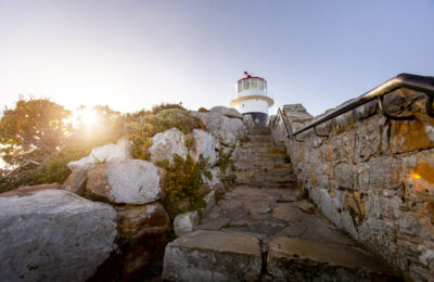 CapePoint_TCunniffe_010
