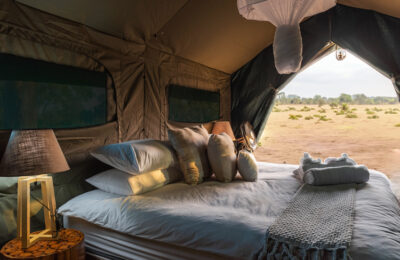 tent-savanna
